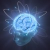 How Vacations Help the Business Brain