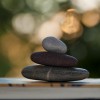 Zen Habits and Simple Productivity