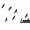 Are You a Multiplier or a Diminisher?